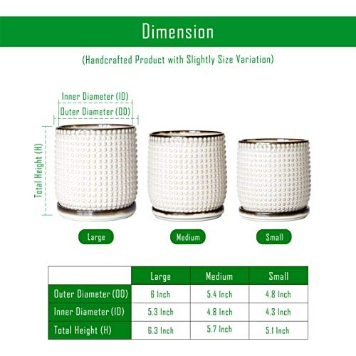 6 Inch Beaded Stoneware Planter Pot with Drainage Hole and Saucer,...