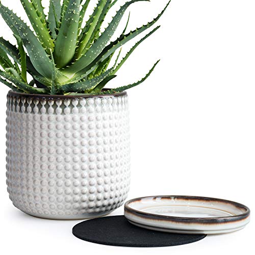 6 Inch Beaded Stoneware Planter Pot with Drainage Hole and Saucer,...