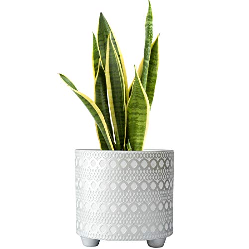 8 Inch Modern Design Ceramic Plants Pot with Drainage Hole, Silver...