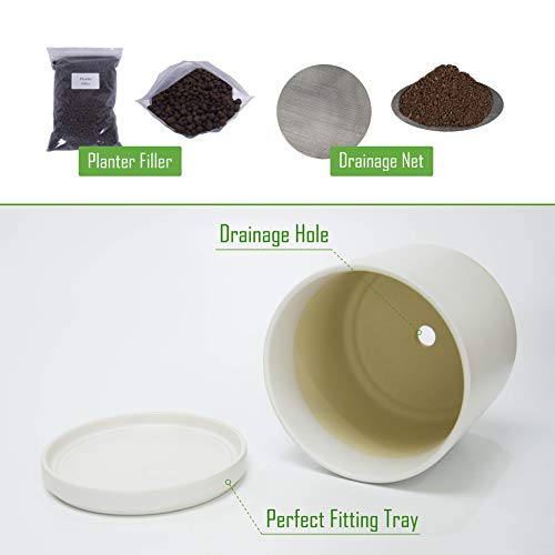 Ceramic Planter Pot with Drainage Hole and Saucer, Indoor Cylinder...