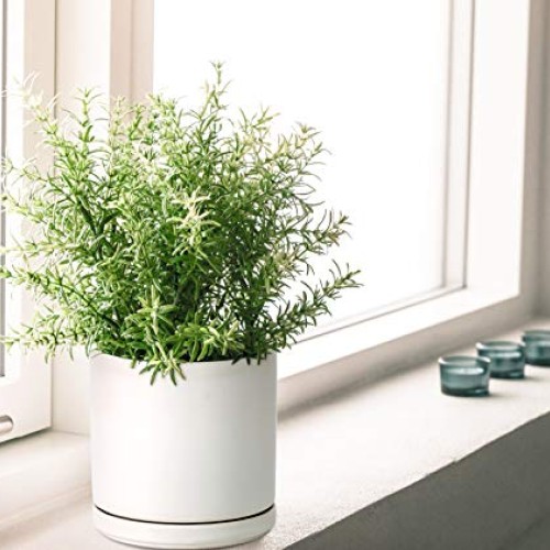 Ceramic Planter Pot with Drainage Hole and Saucer, Indoor Cylinder...