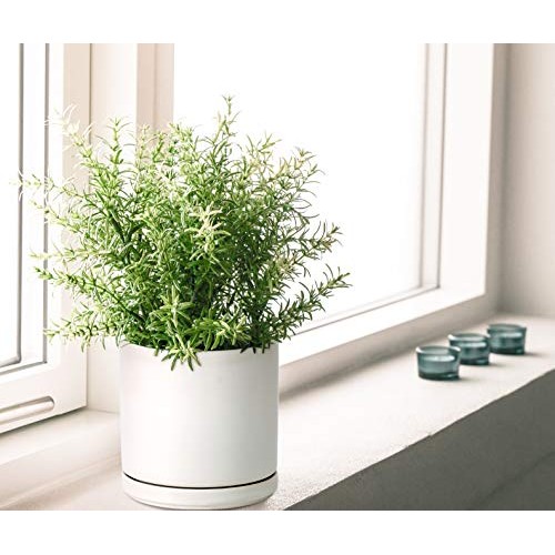 Ceramic Planter Pot with Drainage Hole and Saucer, Indoor Cylinder...