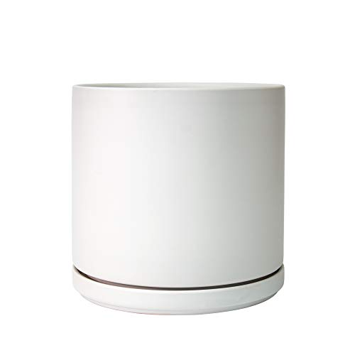 Ceramic Planter Pot with Drainage Hole and Saucer, Indoor Cylinder...