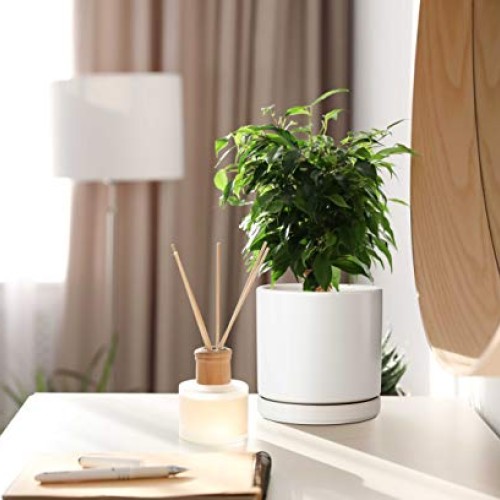 Plant Pots Set, 4.3 Inch & 6 Inch Ceramic Planter Pot for Plants w...