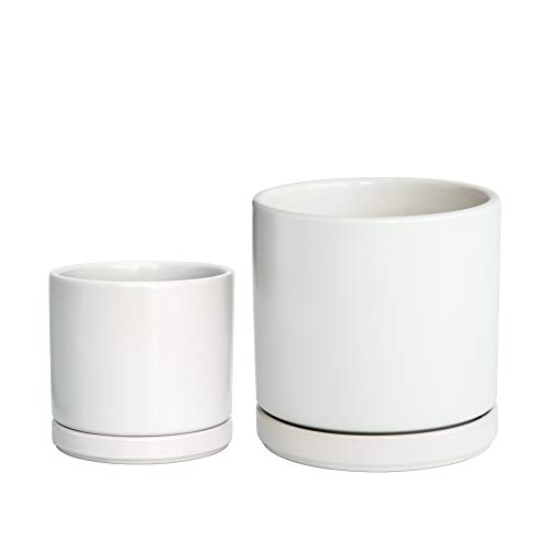 Plant Pots Set, 4.3 Inch & 6 Inch Ceramic Planter Pot for Plants w...