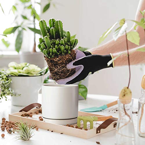 Plant Pots Set, 4.3 Inch & 6 Inch Ceramic Planter Pot for Plants w...