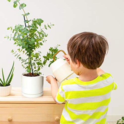 Plant Pots Set, 4.3 Inch & 6 Inch Ceramic Planter Pot for Plants w...