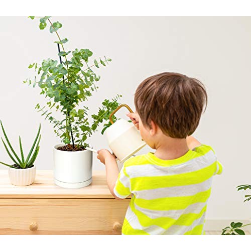 Plant Pots Set, 4.3 Inch & 6 Inch Ceramic Planter Pot for Plants w...