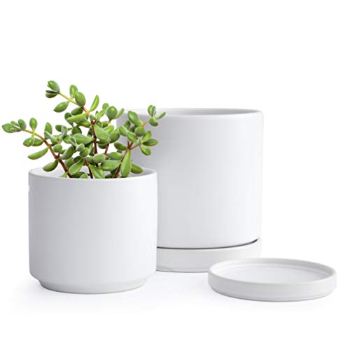 Plant Pots Set, 4.3 Inch & 6 Inch Ceramic Planter Pot for Plants w...
