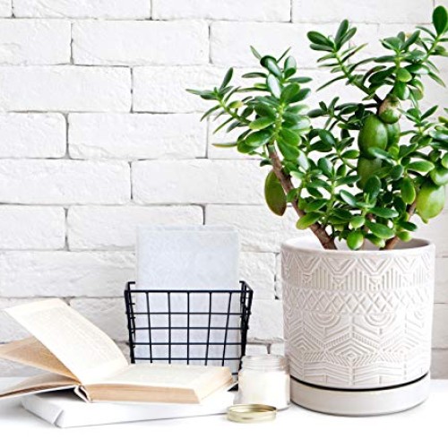 Set of 2 Modern Matte White Floral Embossed Ceramic Planter Pot wi...