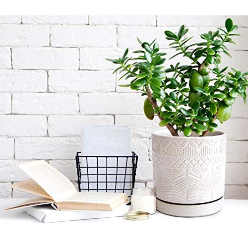 Set of 2 Modern Matte White Floral Embossed Ceramic Planter Pot wi...
