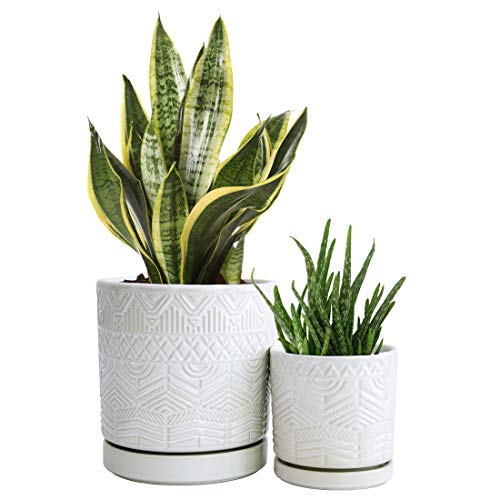 Set of 2 Modern Matte White Floral Embossed Ceramic Planter Pot wi...