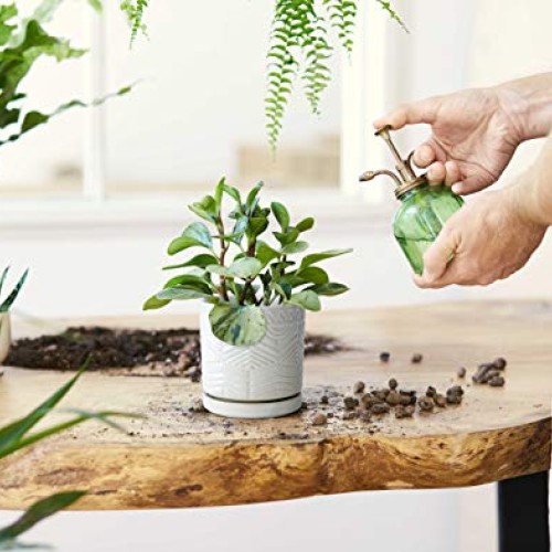 Set of 2 Modern Matte White Floral Embossed Ceramic Planter Pot wi...