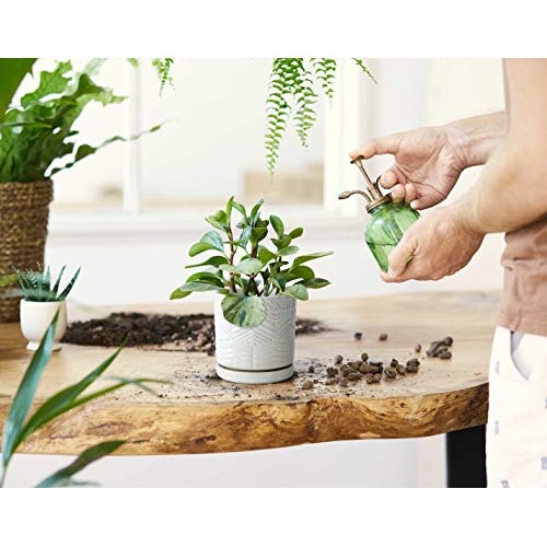 Set of 2 Modern Matte White Floral Embossed Ceramic Planter Pot wi...