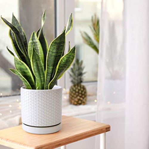 Set of 2 Modern Matte White Honeycomb Embossed Ceramic Planter Pot...