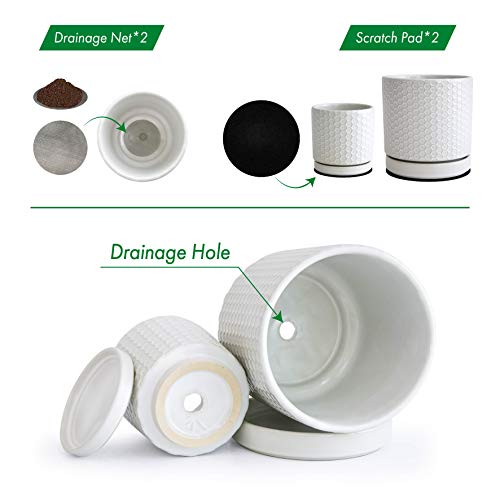 Set of 2 Modern Matte White Honeycomb Embossed Ceramic Planter Pot...