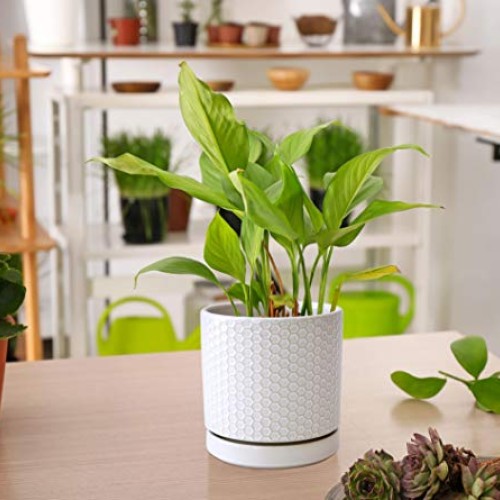 Set of 2 Modern Matte White Honeycomb Embossed Ceramic Planter Pot...