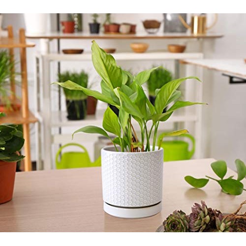 Set of 2 Modern Matte White Honeycomb Embossed Ceramic Planter Pot...