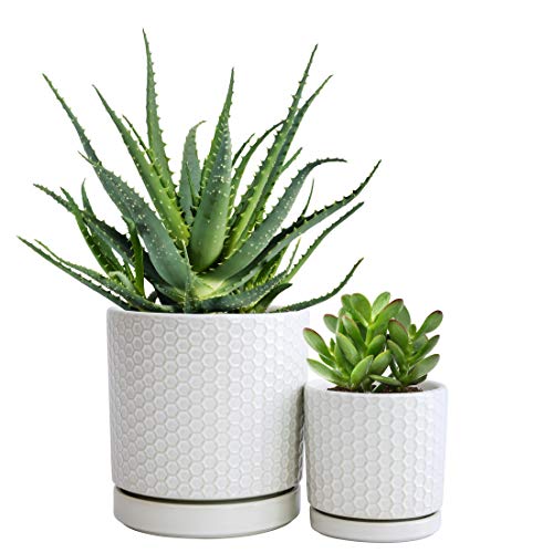 Set of 2 Modern Matte White Honeycomb Embossed Ceramic Planter Pot...