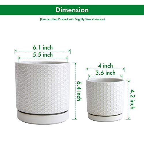 Set of 2 Modern Matte White Honeycomb Embossed Ceramic Planter Pot...