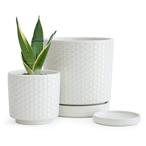 Set of 2 Modern Matte White Honeycomb Embossed Ceramic Planter Pot...