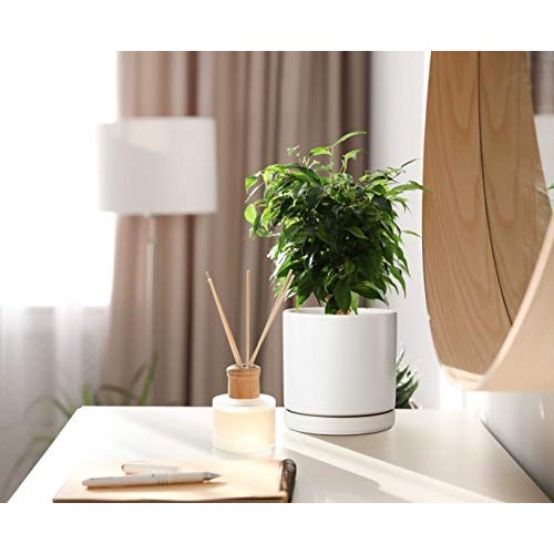 Set of 2 Plants Pot, 6 Inch Ceramic Planter Pot for Plants with Dr...