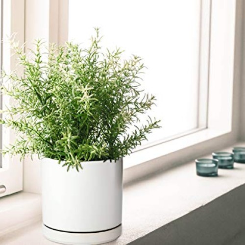 Set of 2 Plants Pot, 6 Inch Ceramic Planter Pot for Plants with Dr...