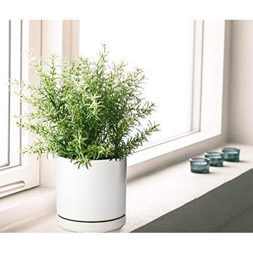 Set of 2 Plants Pot, 6 Inch Ceramic Planter Pot for Plants with Dr...