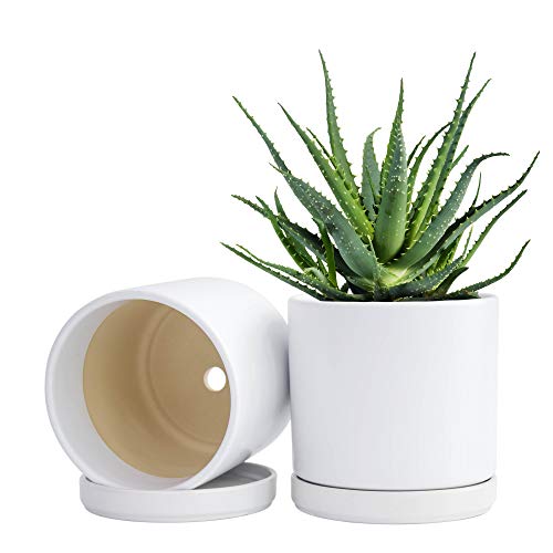 Set of 2 Plants Pot, 6 Inch Ceramic Planter Pot for Plants with Dr...