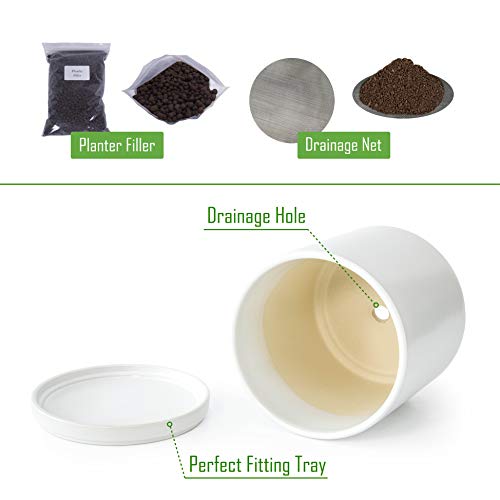 Set of 4 Small Succulent Plant Pots, 4.3 Inch Ceramic Planter Pot ...