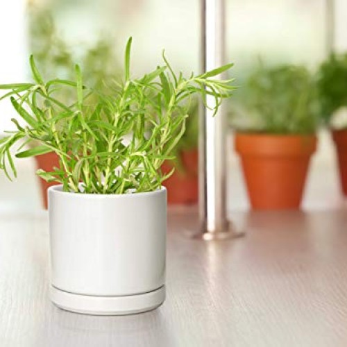 Set of 4 Small Succulent Plant Pots, 4.3 Inch Ceramic Planter Pot ...