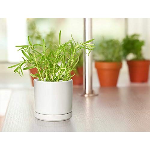 Set of 4 Small Succulent Plant Pots, 4.3 Inch Ceramic Planter Pot ...