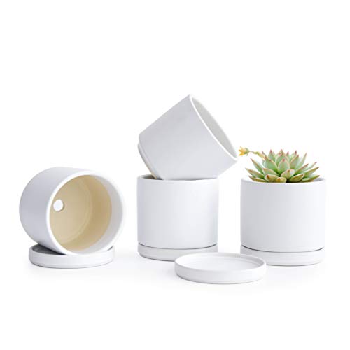 Set of 4 Small Succulent Plant Pots, 4.3 Inch Ceramic Planter Pot ...