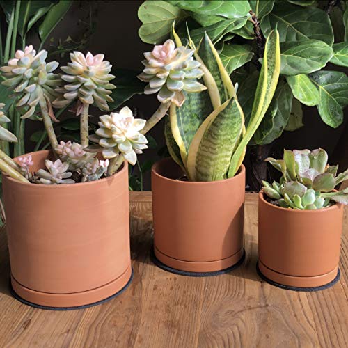 Terracotta Pots for Plants, 4.2 Inch 5.3 Inch 6.5 Inch, Succulent ...