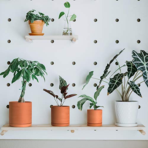 Terracotta Pots for Plants, 4.2 Inch 5.3 Inch 6.5 Inch, Succulent ...