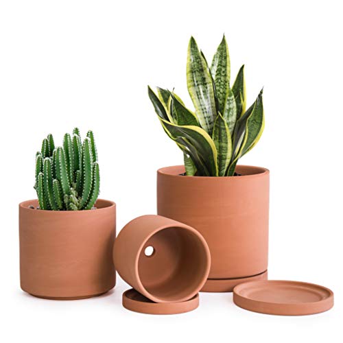 Terracotta Pots for Plants, 4.2 Inch 5.3 Inch 6.5 Inch, Succulent ...
