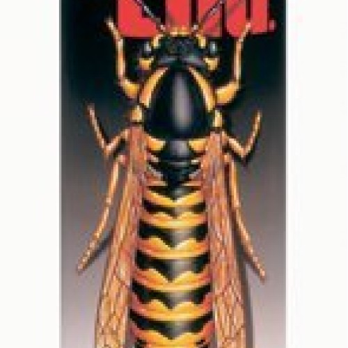 The End Wasp & Hornet Killer 12 Pack
