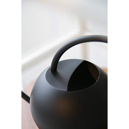 E.Palace Stainless Steel Water Can for Indoor Plants and Garden Co...