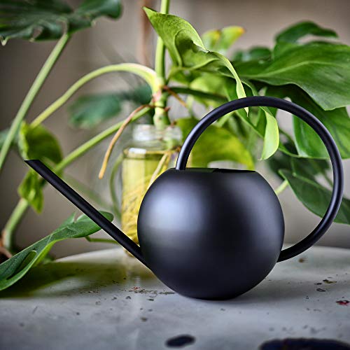 E.Palace Stainless Steel Water Can for Indoor Plants and Garden Co...