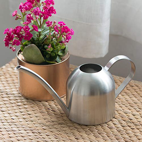 E.Palace Stainless Steel Water Can for Indoor Plants and Garden Co...