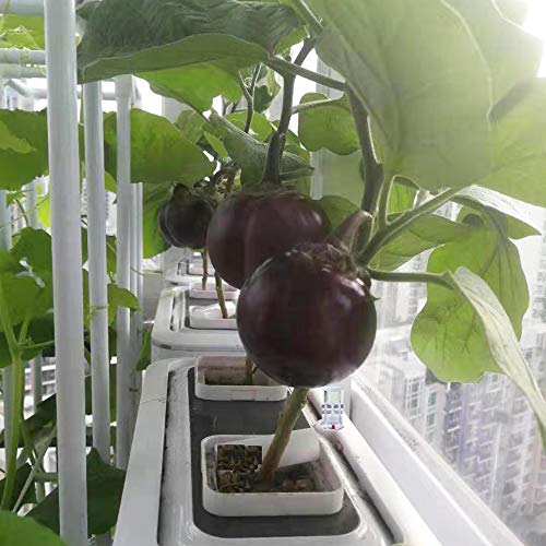 Big Smart Hydroponics Growing System Dual Power Gardening System I...
