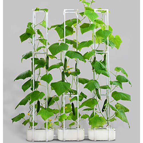 Big Smart Hydroponics Growing System Dual Power Gardening System I...