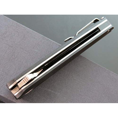 Eafegrow CH3002-G10 Folding Camping Knives 3.7 inch D2 Blade and G...