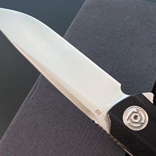 Eafegrow CH3002-G10 Folding Camping Knives 3.7 inch D2 Blade and G...