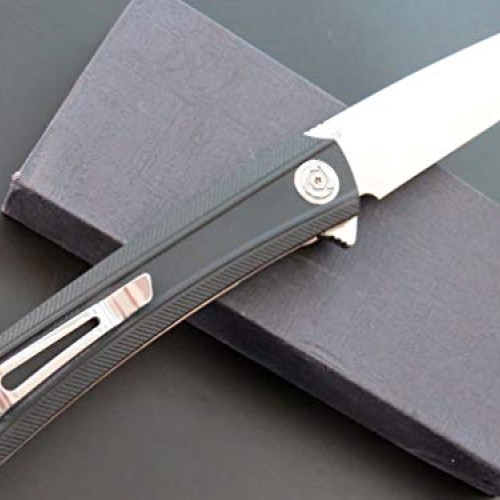 Eafegrow CH3002-G10 Folding Camping Knives 3.7 inch D2 Blade and G...