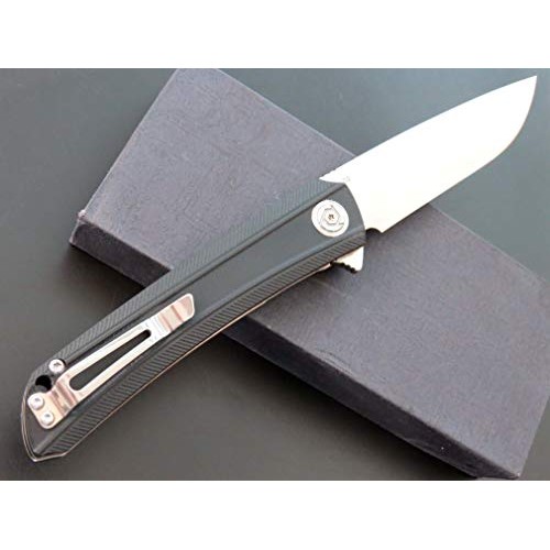 Eafegrow CH3002-G10 Folding Camping Knives 3.7 inch D2 Blade and G...