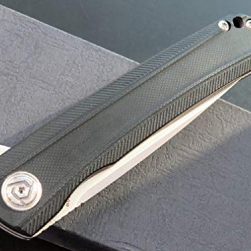 Eafegrow CH3002-G10 Folding Camping Knives 3.7 inch D2 Blade and G...