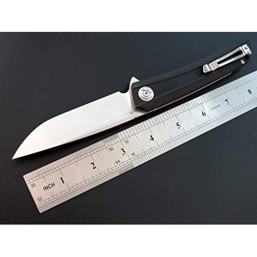Eafegrow CH3002-G10 Folding Camping Knives 3.7 inch D2 Blade and G...