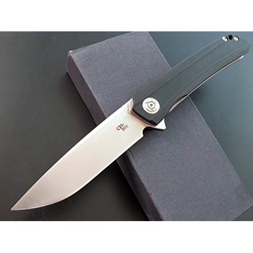 Eafegrow CH3002-G10 Folding Camping Knives 3.7 inch D2 Blade and G...