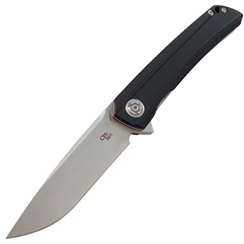 Eafegrow CH3002-G10 Folding Camping Knives 3.7 inch D2 Blade and G...